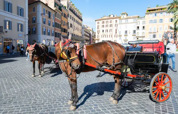 Kůň Náměstí Římě — Stock fotografie