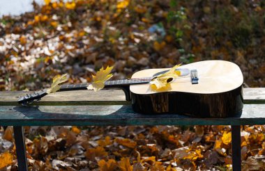 Doğada gitar Sonbaharda güneşli bir günde