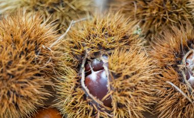 Mağazadaki kabuklu kestanenin arkaplanı