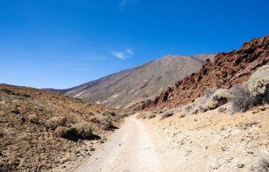 Tenerife 'deki Teide volkanının manzarası