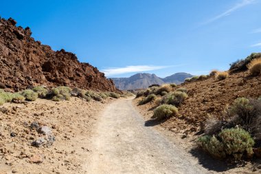 Tenerife 'deki Teide volkanının manzarası