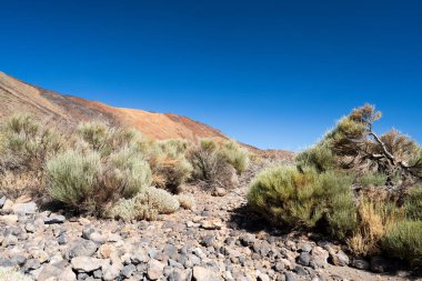 Tenerife 'deki Teide volkanının manzarası