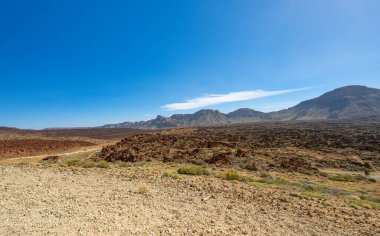 Teide doğa rezervindeki volkanik manzara