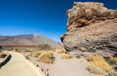 Teide doğa rezervindeki volkanik manzara