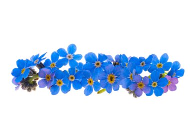 Beyaz arkaplanda izole edilmiş 