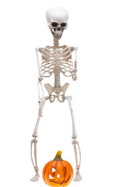 Cadılar Bayramı için iskelet beyaz arka planda izole