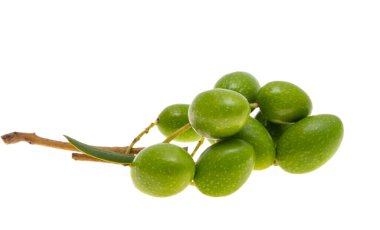 Beyaz arkaplanda izole edilmiş yeşil zeytinli filiz