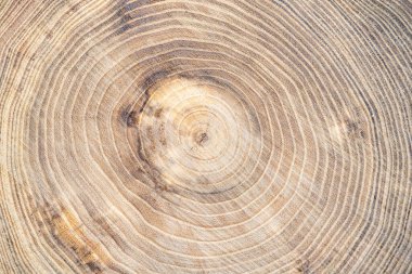 Yakın planda ahşap doku.