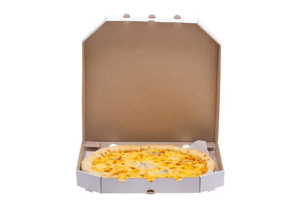 白色背景的奶酪披萨 图库图片
