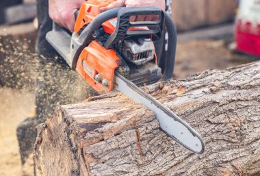 Yakın plan testereyle odun kesmek.