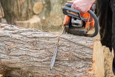 Yakın plan testereyle odun kesmek.
