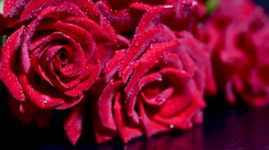 Koyu arkaplanda damlaları olan kırmızı güller