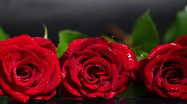 Koyu arkaplanda damlaları olan kırmızı güller