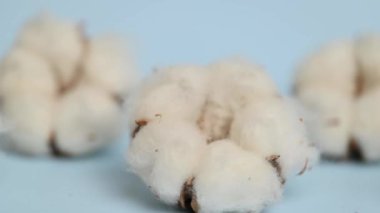 Mavi arkaplanda pamuk kutusu