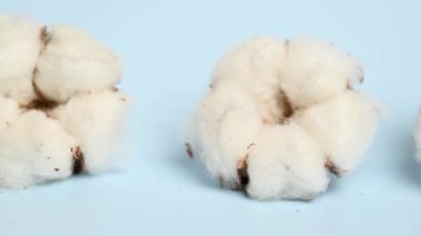 Mavi arkaplanda pamuk kutusu