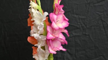ice cream in a waffle cone on a black background