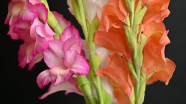 ice cream in a waffle cone on a black background