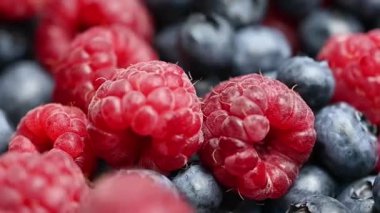 Yaban mersini ve ahududu arka planı