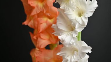 ice cream in a waffle cone on a black background