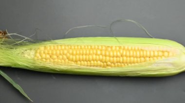 Siyah arka planda tatlı mısır kafalar