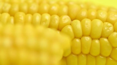 Sarı haşlanmış tatlı mısır. Yakın plan.