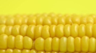 Sarı haşlanmış tatlı mısır. Yakın plan.