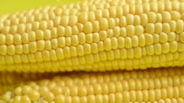 # Sarı mısır koçanının üstünde #