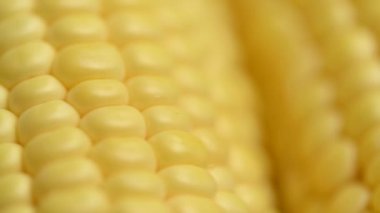 # Sarı mısır koçanının üstünde #