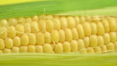 # Sarı mısır koçanının üstünde #