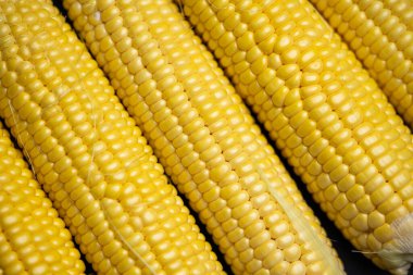 Siyah arka planda tatlı mısır kafalar