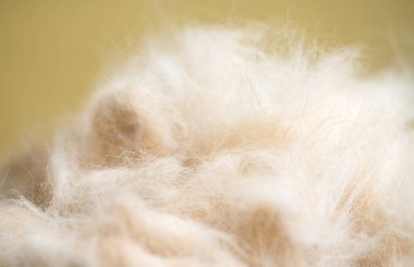 bej renkli hayvan kürkü yakın çekim