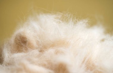 bej renkli hayvan kürkü yakın çekim