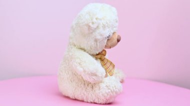 yumuşak oyuncak ayı pembe arka planda