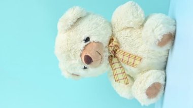 yumuşak oyuncak ayı mavi arka planda