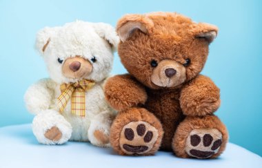 yumuşak oyuncak ayı mavi arka planda