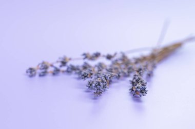 Poşetlerde kurutulmuş lavanta güzel bir arka planda