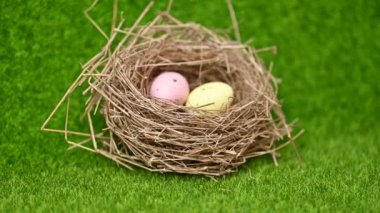Yeşil çimlere kuş yuvası yakın