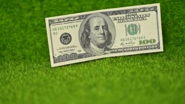 Yeşil çimenlere 100 dolar. Yaklaş.