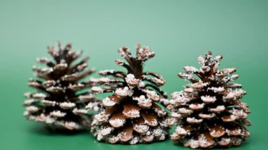 Noel süsleme kozalakları kapanıyor