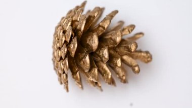 beyaz zemin üzerine altın çam kozalağı