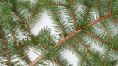 Köknar ağacı dallı Noel süslemesi