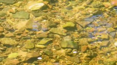 Kayalık dibi olan bir nehirdeki su videosu