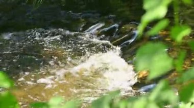 Kayalık dibi olan bir nehirdeki su videosu