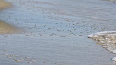 Sahilde dalgaları olan güzel bir video denizi