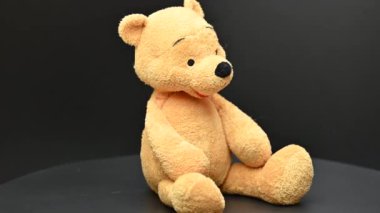 Siyah arka planda oyuncak ayı