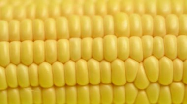 # Sarı mısır koçanının üstünde #