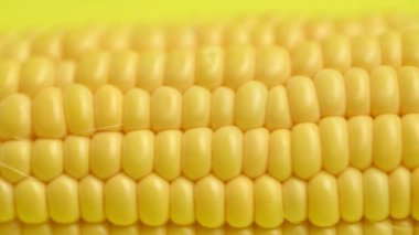 # Sarı mısır koçanının üstünde #