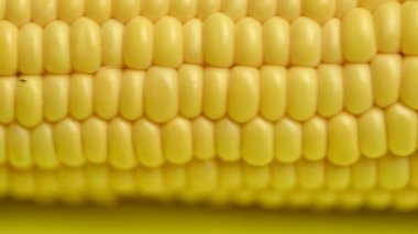 # Sarı mısır koçanının üstünde #