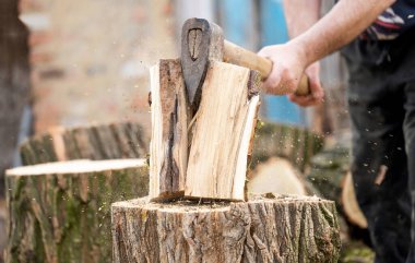 Bir adam meşe ağacını kesiyor.