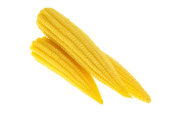pickled corn isolated on white background